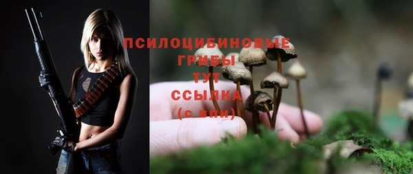 гидра Куйбышев