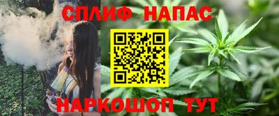 индика Баксан