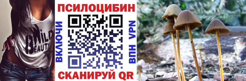 Псилоцибиновые грибы Magic Shrooms  наркошоп  Усть-Кут 