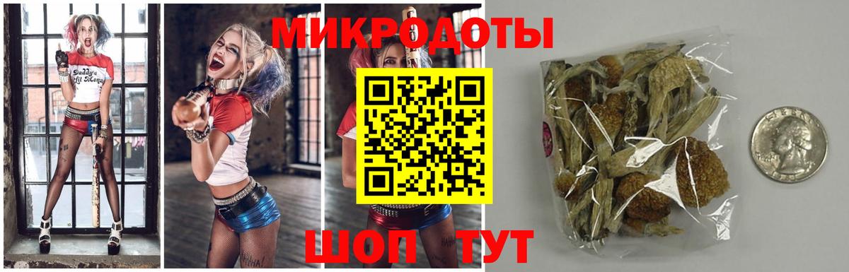 Галлюциногенные грибы Cubensis Усть-Кут