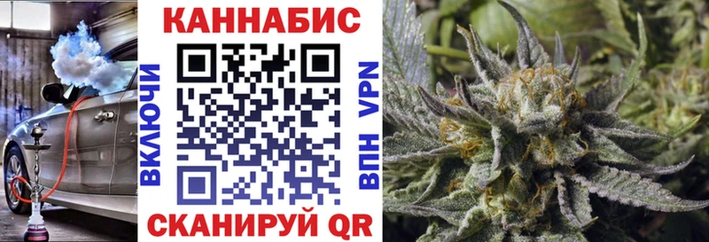 Конопля сатива  Усть-Кут 